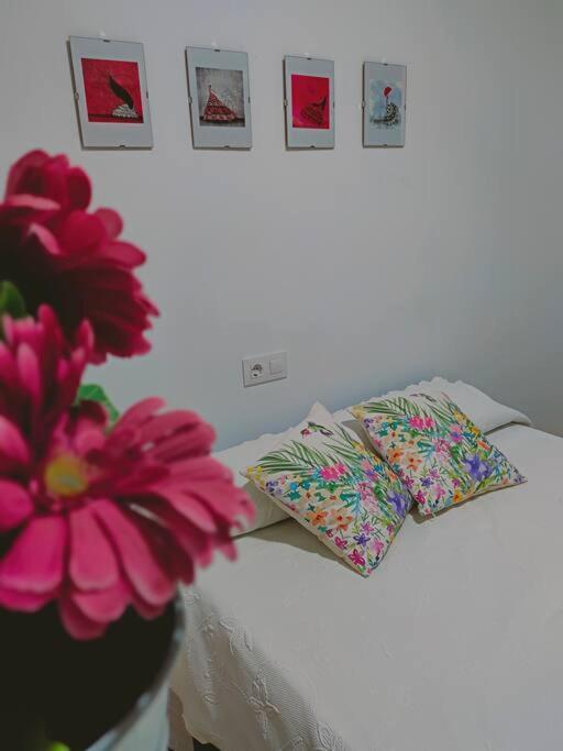Apartamento Acerota, Con Parking Gratuito Córdoba Exteriör bild